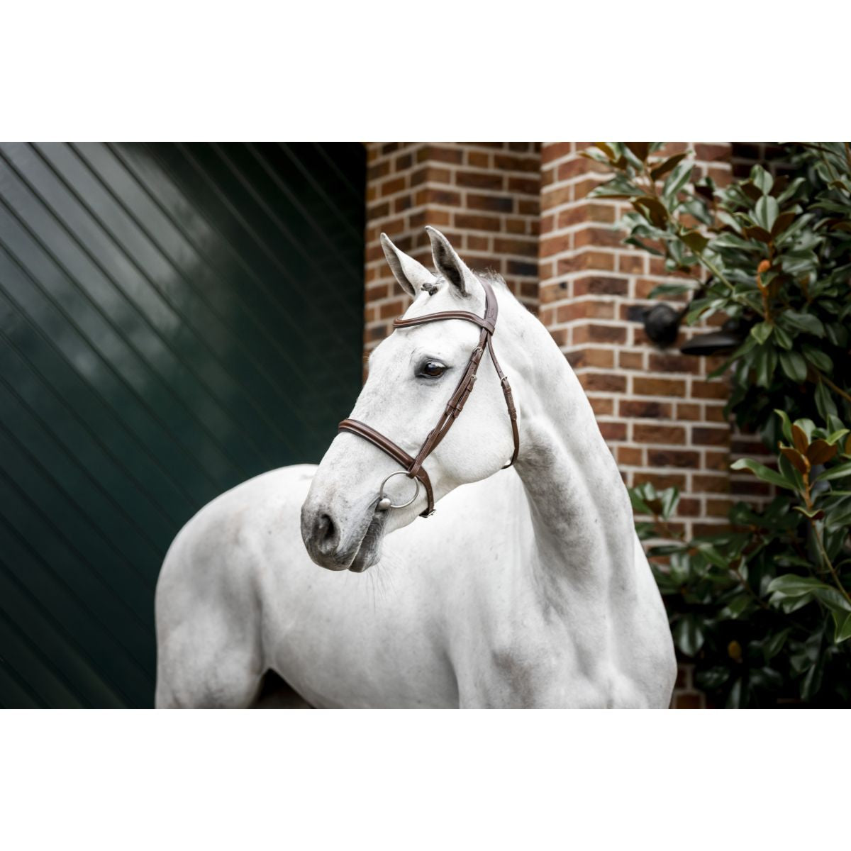 Horseware Brida Cavesson Marron