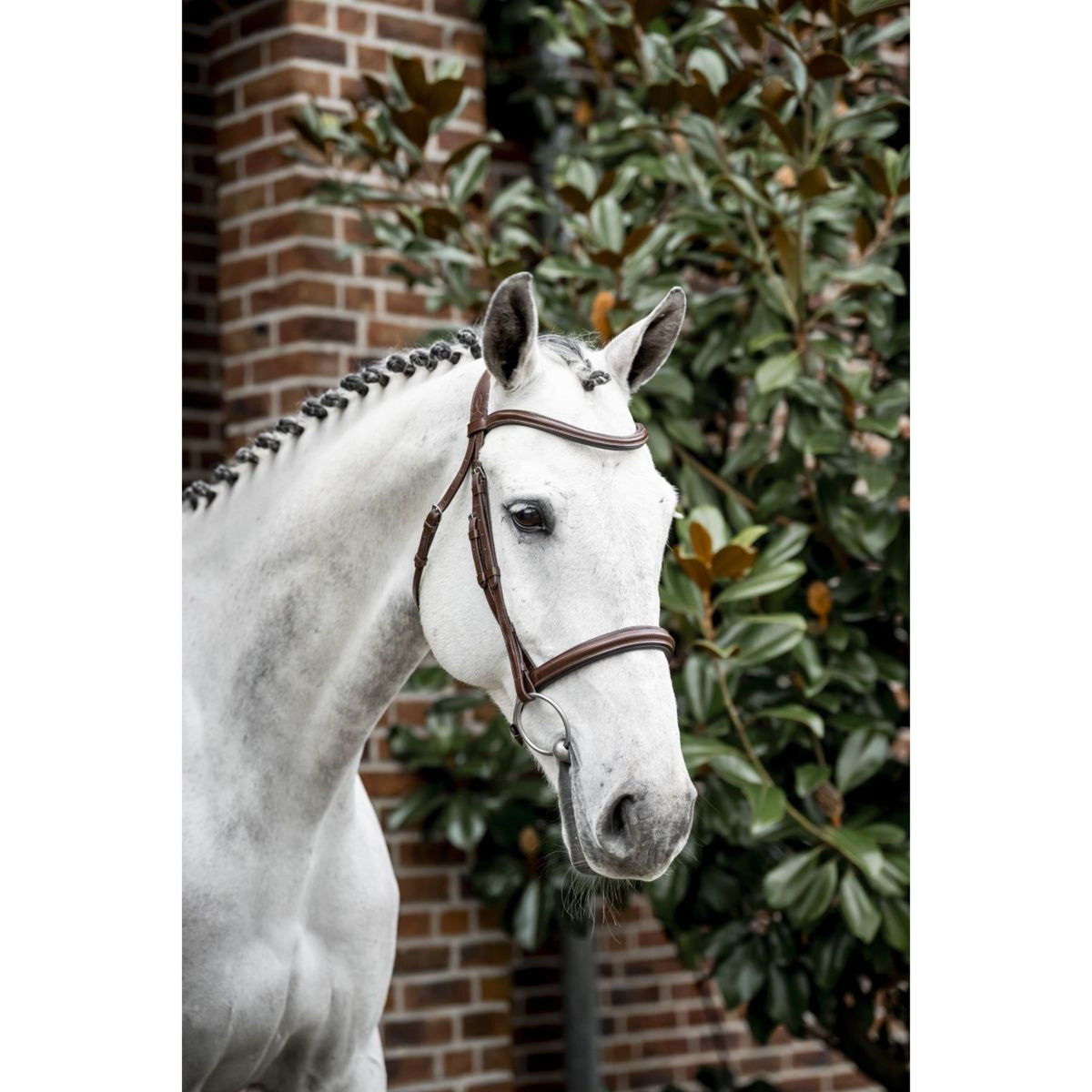 Horseware Brida Cavesson Marron