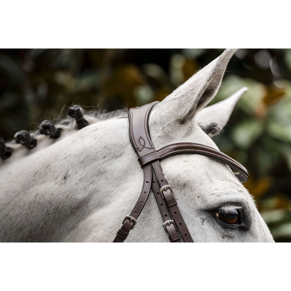 Horseware Brida Cavesson Marron