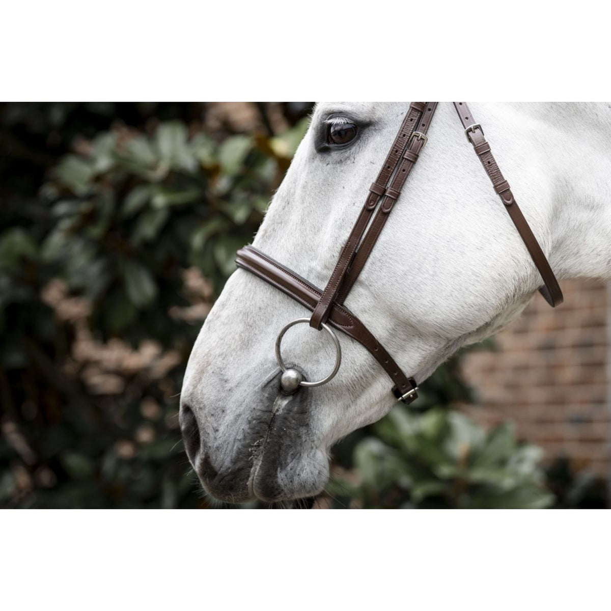 Horseware Brida Cavesson Marron