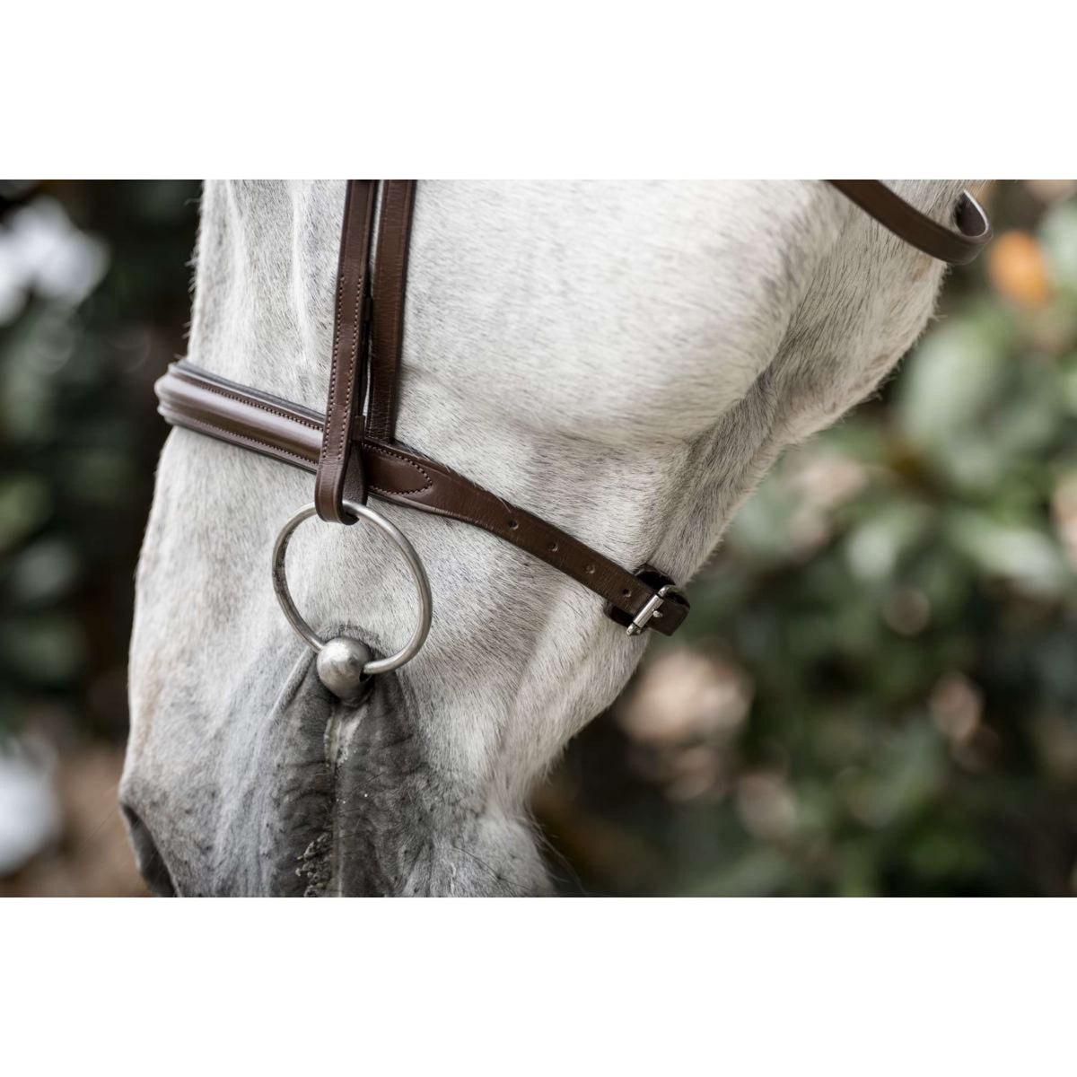 Horseware Brida Cavesson Marron