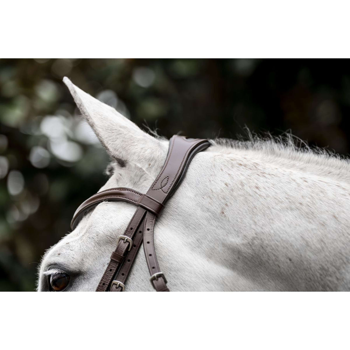 Horseware Brida Cavesson Marron