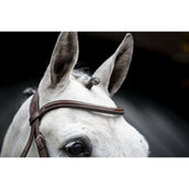 Horseware Brida Cavesson Marron