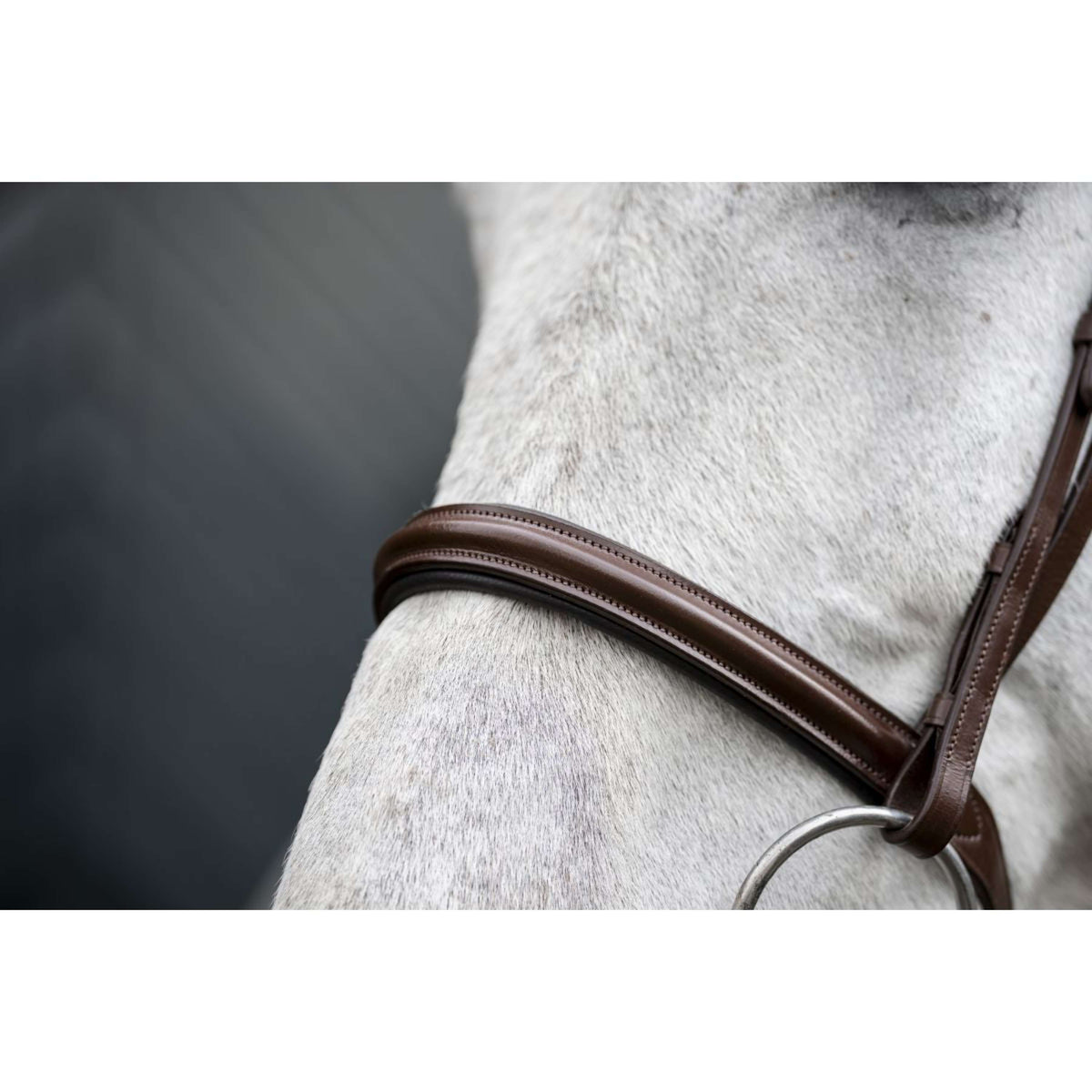 Horseware Brida Cavesson Marron