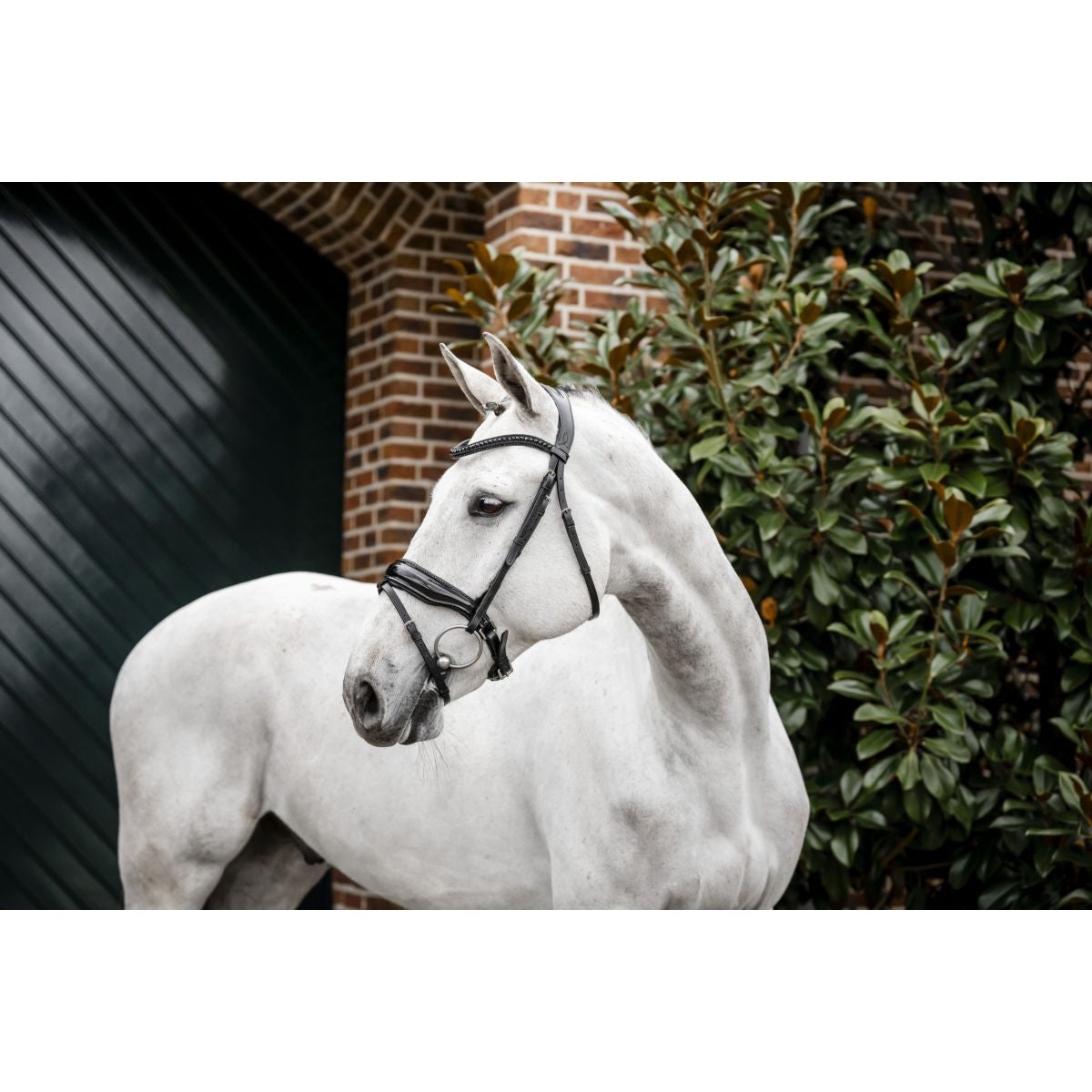 Horseware Brida Diamante Negro