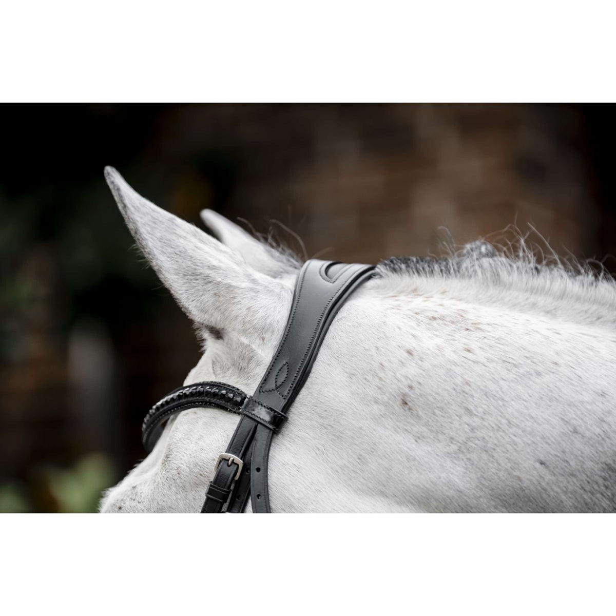 Horseware Brida Diamante Negro