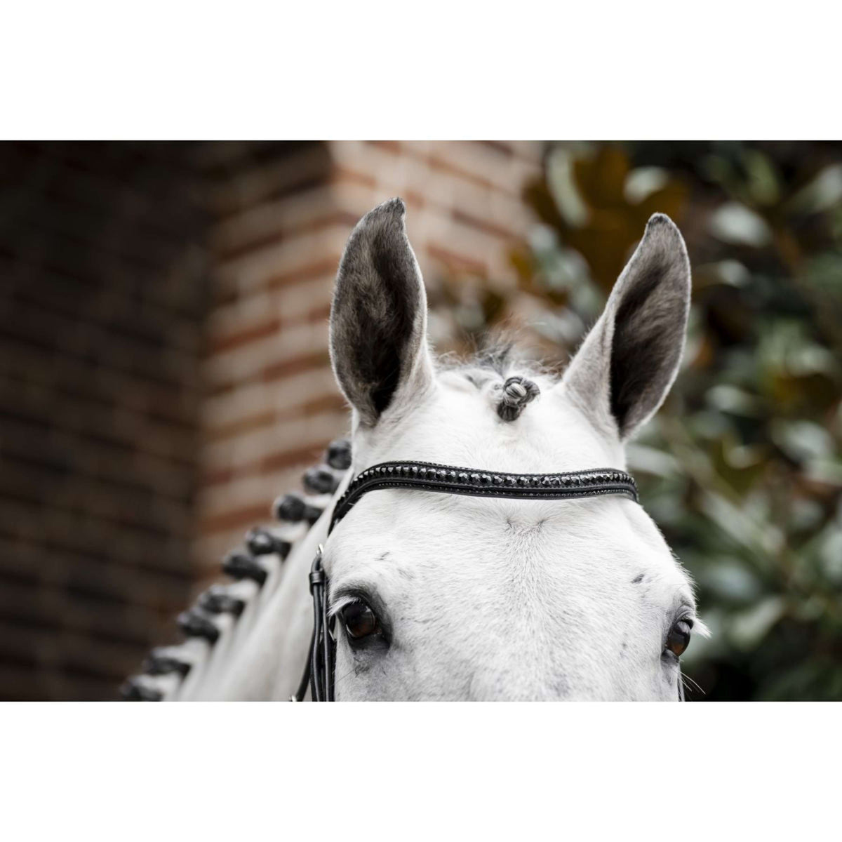 Horseware Brida Diamante Negro