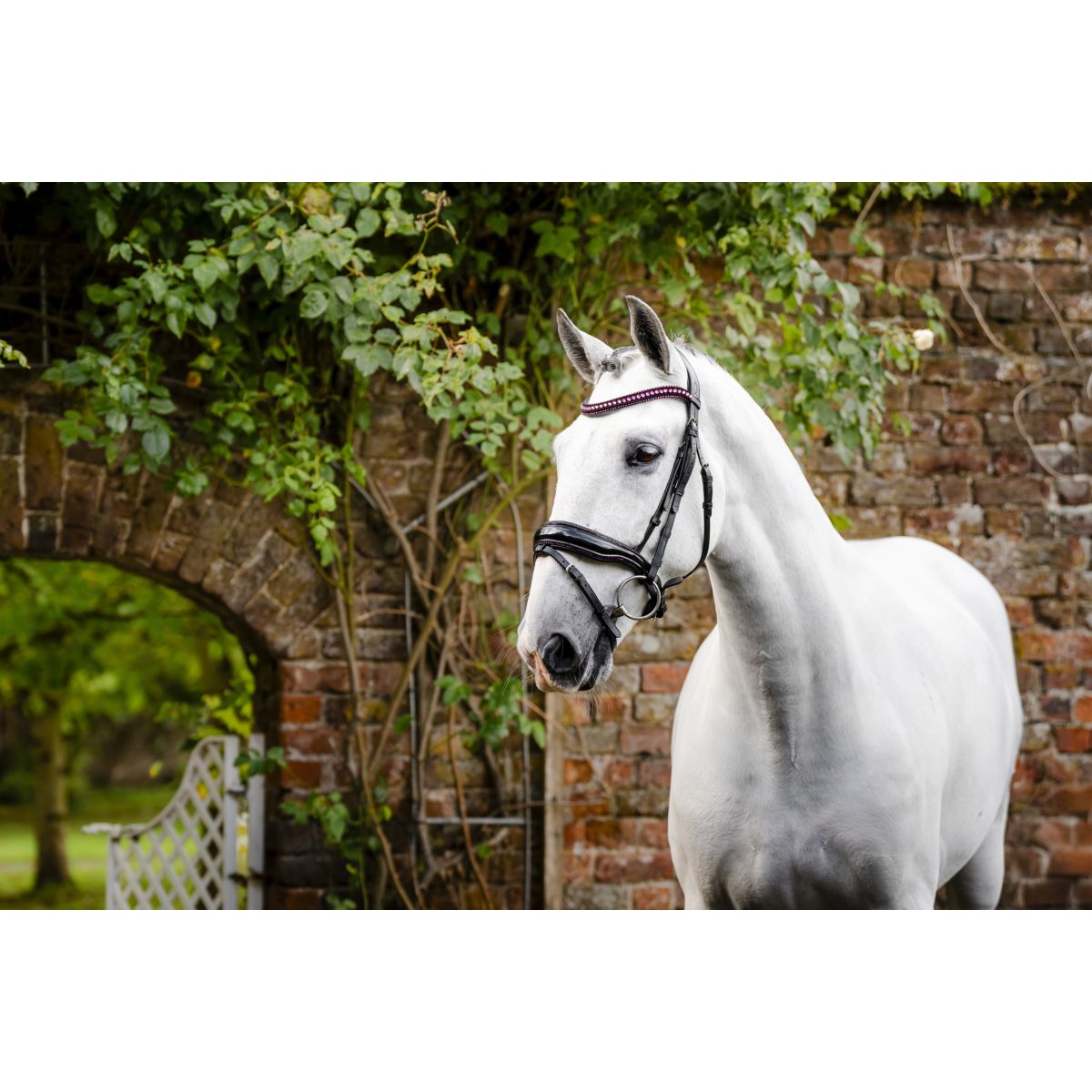 Horseware Brida Diamante Negro/Rosa