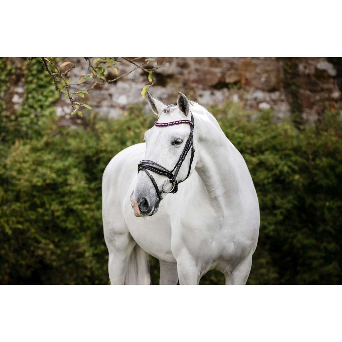 Horseware Brida Diamante Negro/Rosa