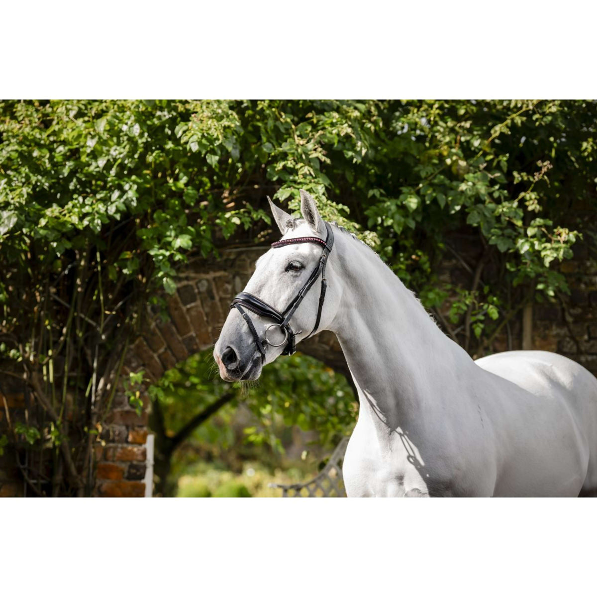 Horseware Brida Diamante Negro/Rosa