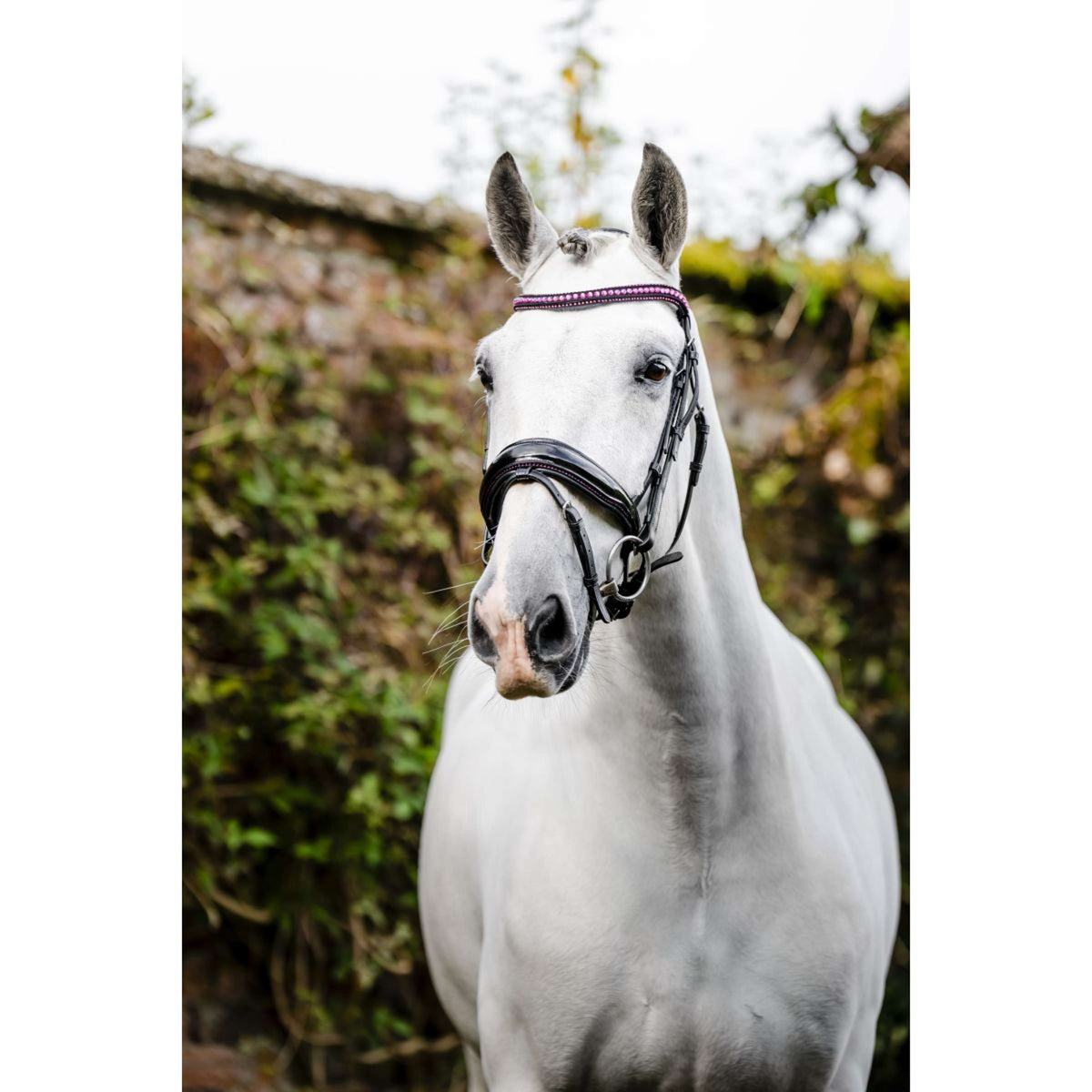 Horseware Brida Diamante Negro/Rosa