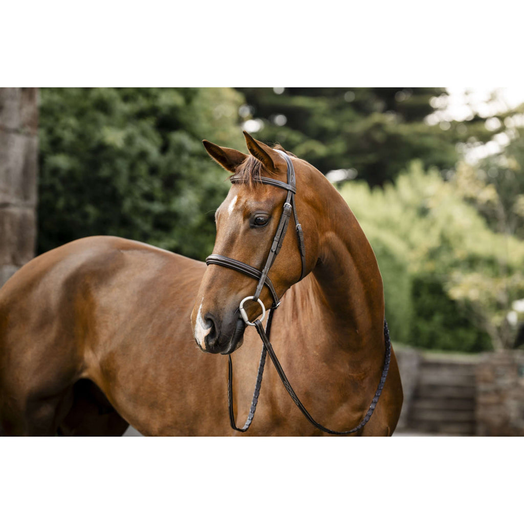 Horseware Brida Hunter Havana Brown