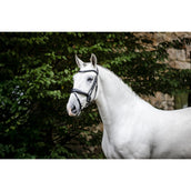 Horseware Brida Pony Flash Negro