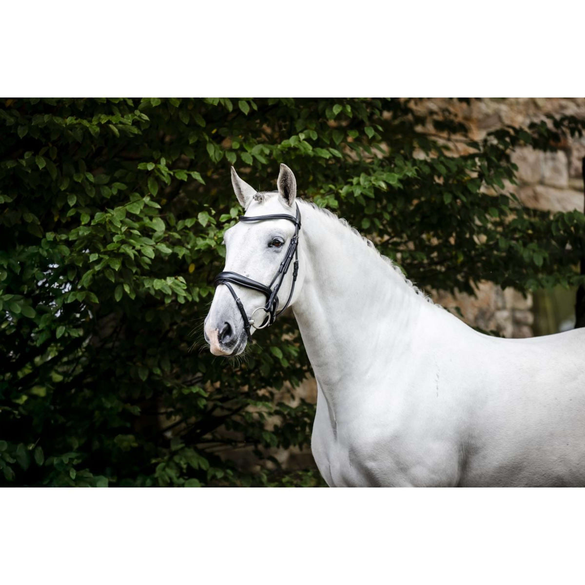 Horseware Brida Pony Flash Negro