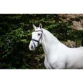 Horseware Brida Pony Flash Negro