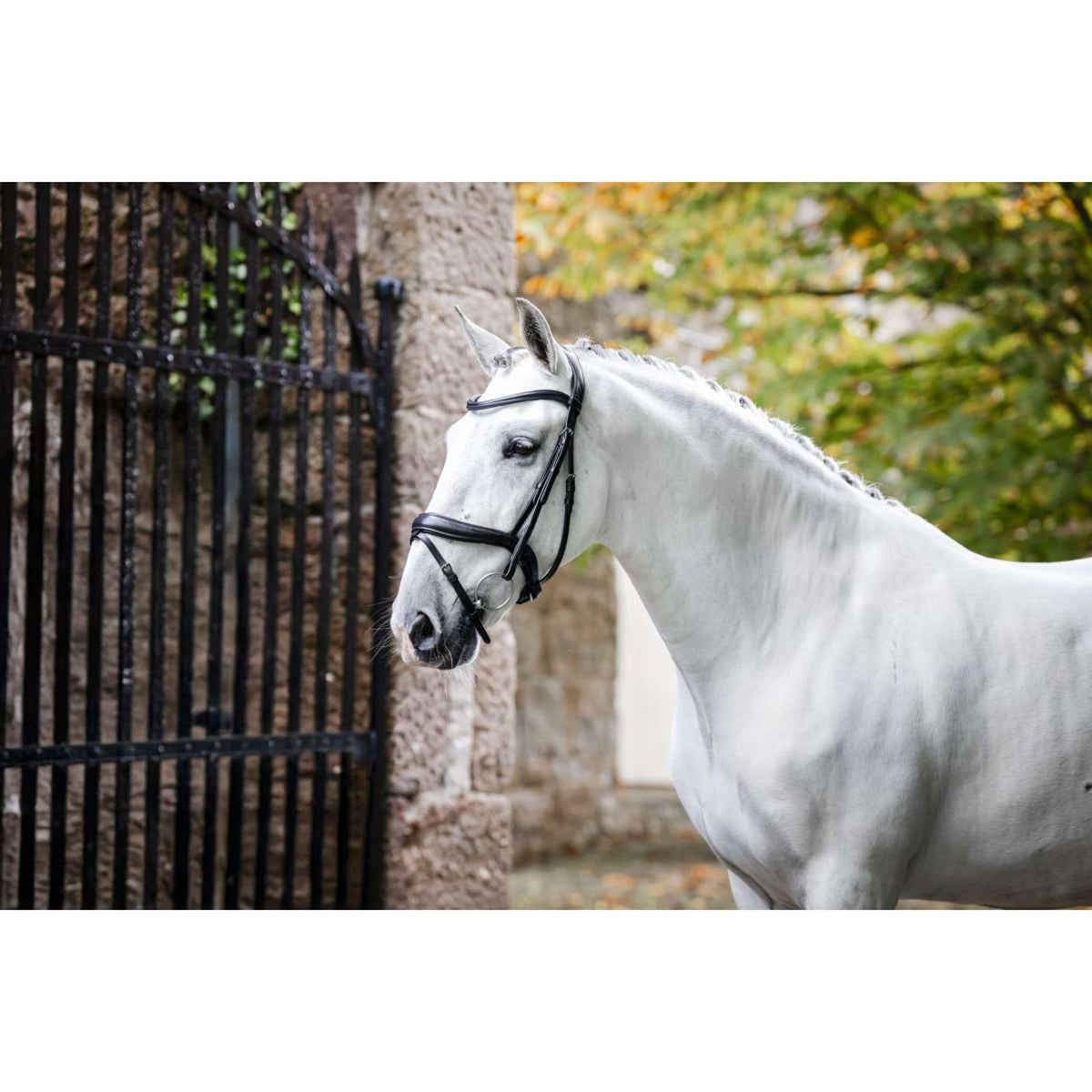 Horseware Brida Pony Flash Negro