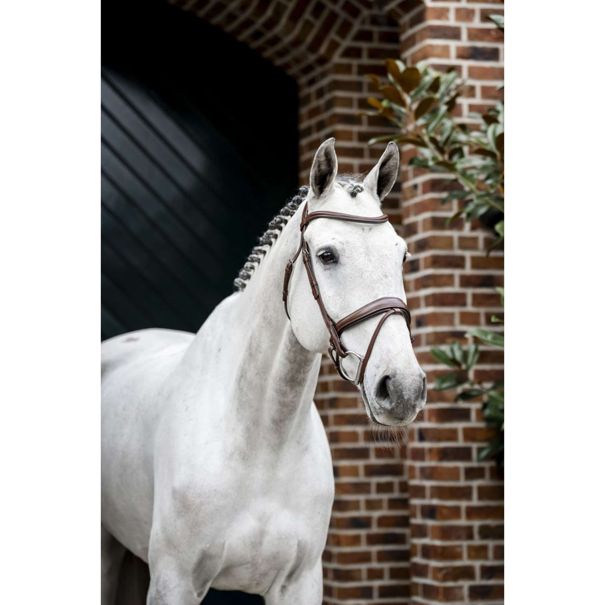 Horseware Brida Dressage Marron