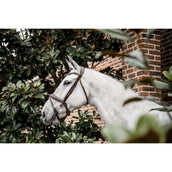 Horseware Brida Dressage Marron