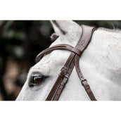Horseware Brida Dressage Marron