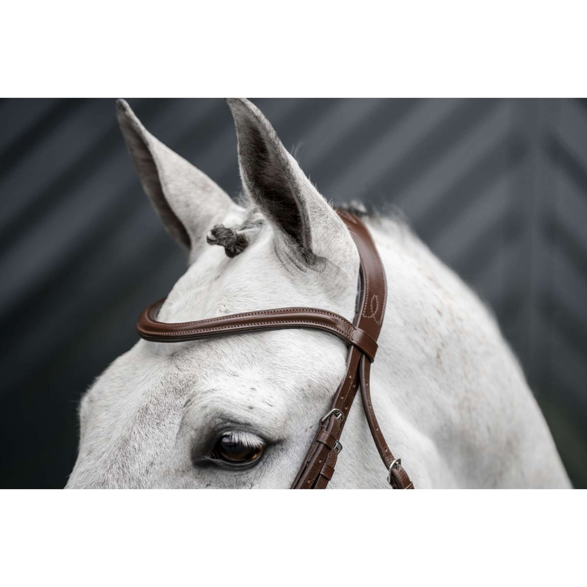 Horseware Brida Dressage Marron
