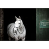 Horseware Micklem Bitless Bridle Negro