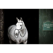Rambo Micklem Bitless Bridle Negro