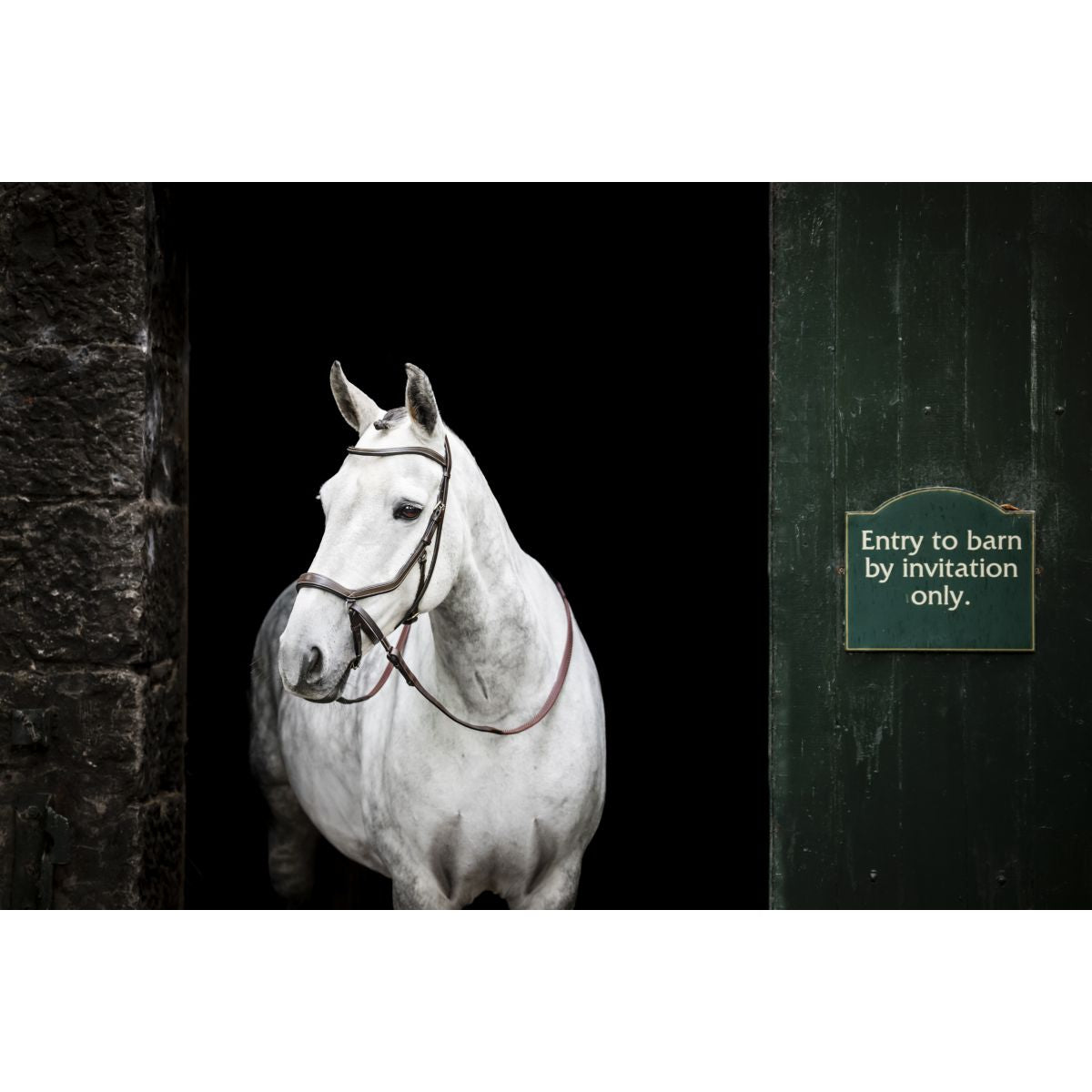 Rambo Micklem Bitless Bridle Marron