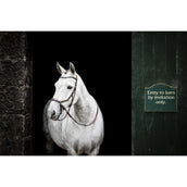 Rambo Micklem Bitless Bridle Marron