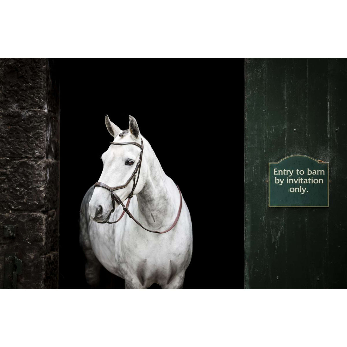 Rambo Micklem Bitless Bridle Marron