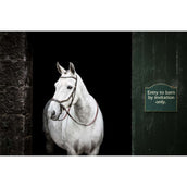 Rambo Micklem Bitless Bridle Marron