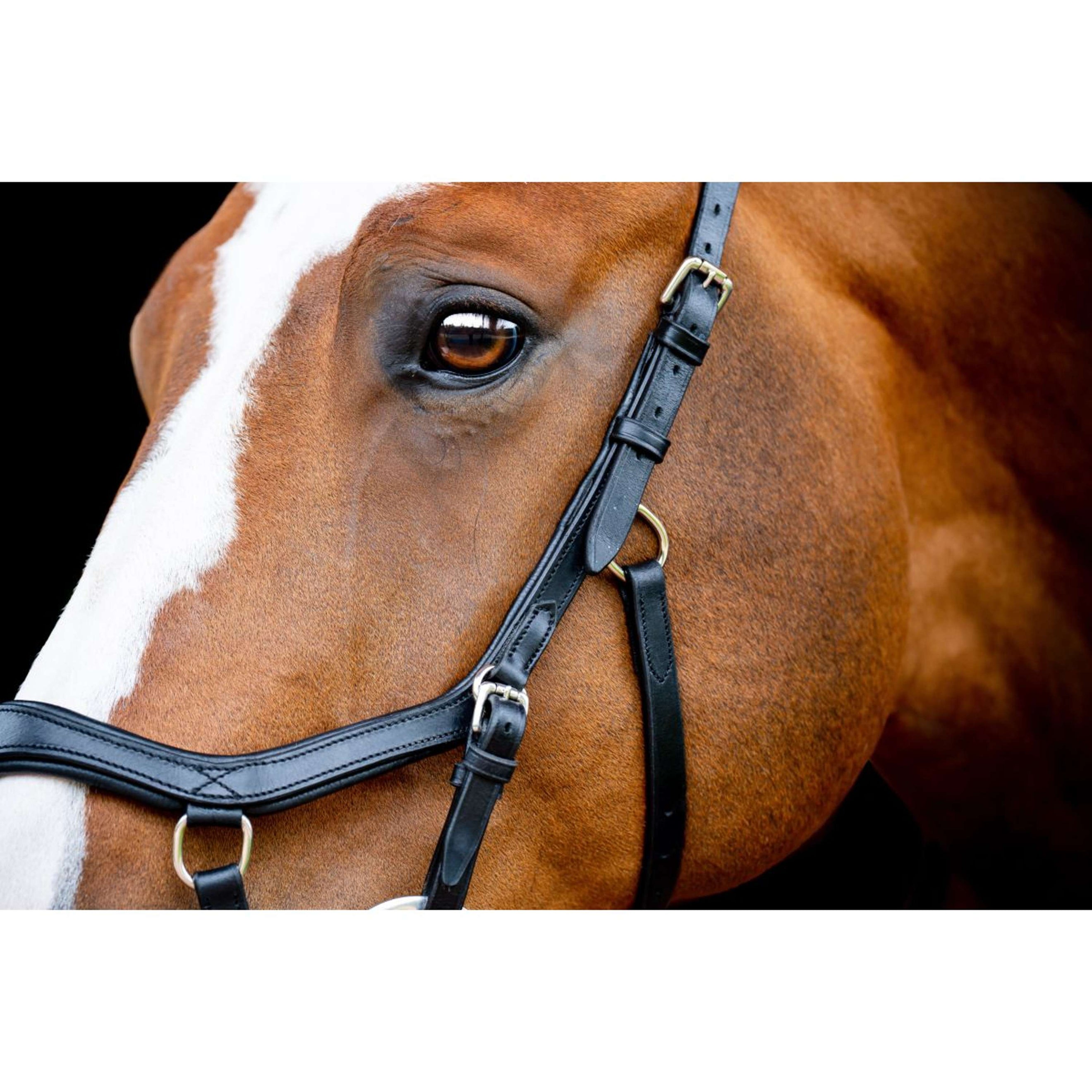 Horseware Micklem Competition Bridle New Negro