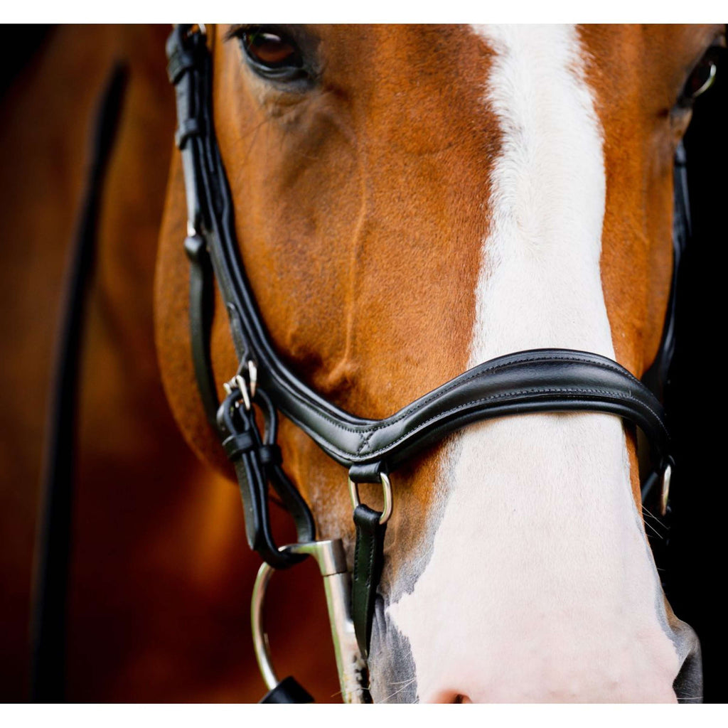 Horseware Micklem Diamond Competition Bridle New Negro