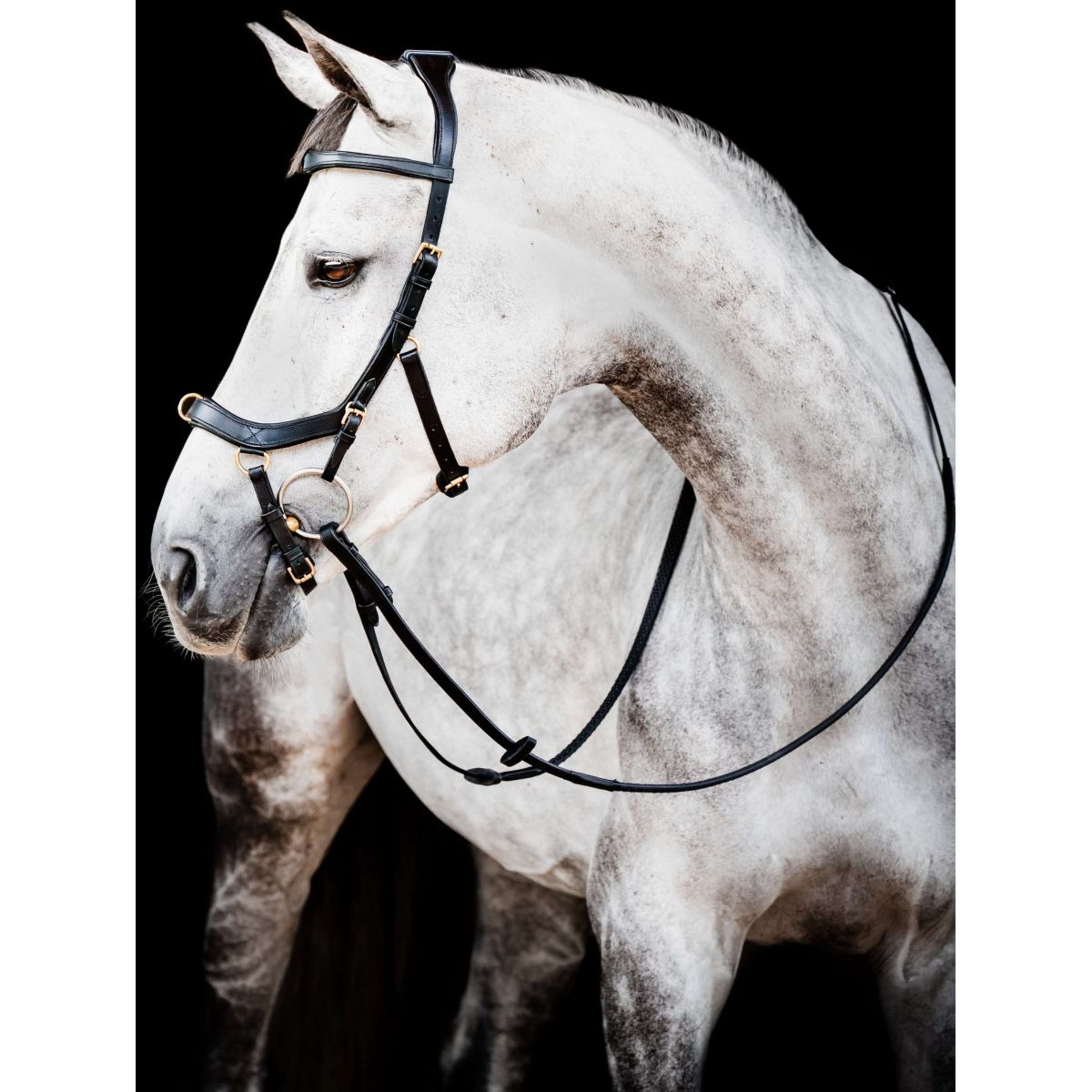 Rambo Micklem Multi Bridle New Negro