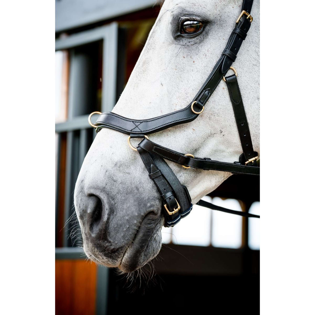 Rambo Micklem Multi Bridle New Negro