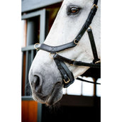 Rambo Micklem Multi Bridle New Negro