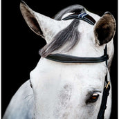 Rambo Micklem Multi Bridle New Negro