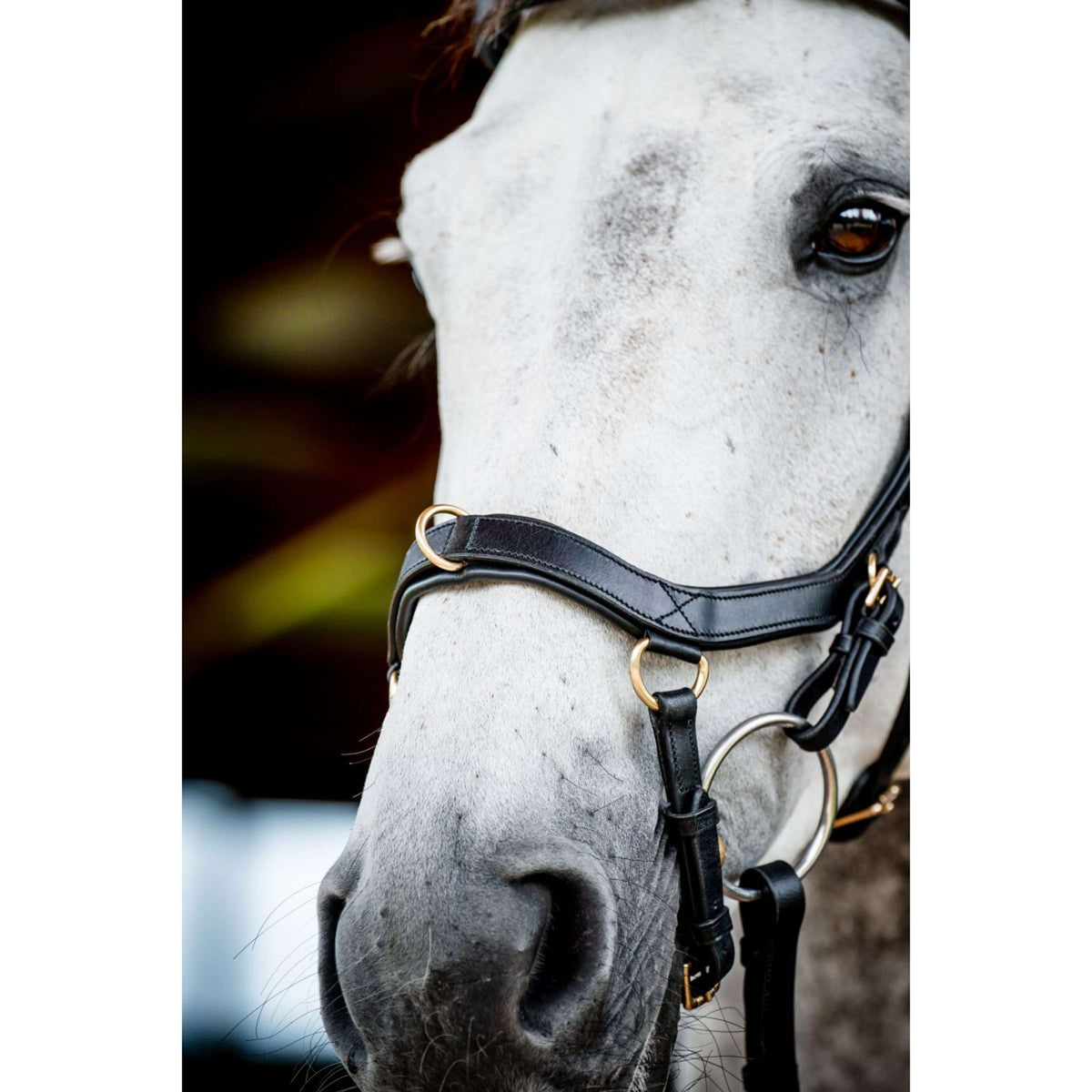 Rambo Micklem Multi Bridle New Negro