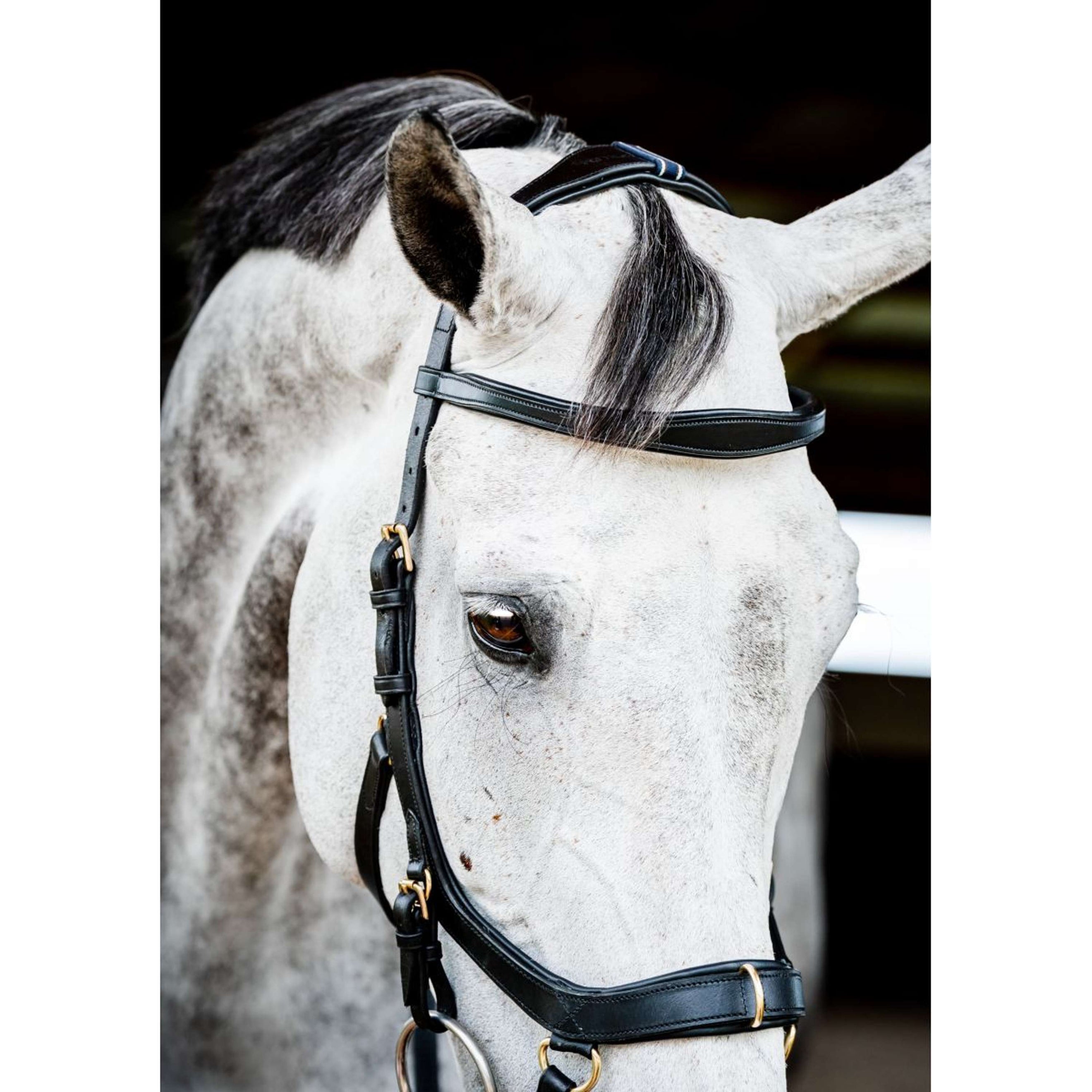 Horseware Micklem Multi Bridle New Negro Horseware Micklem Multi Bridle New Negro