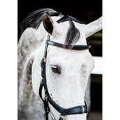 Rambo Micklem Multi Bridle New Negro