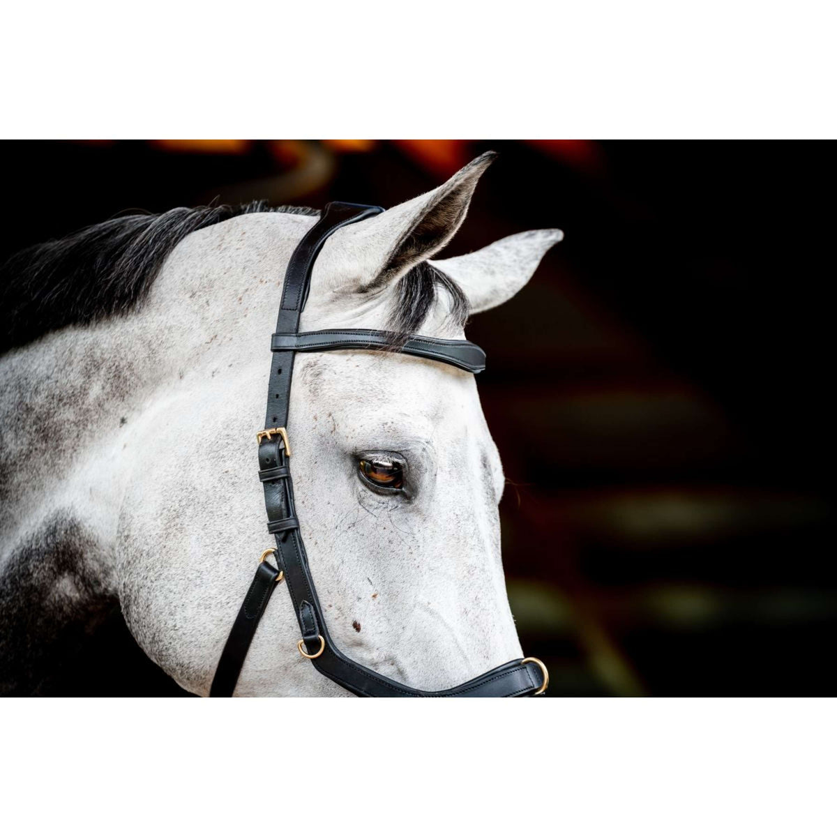 Rambo Micklem Multi Bridle New Negro