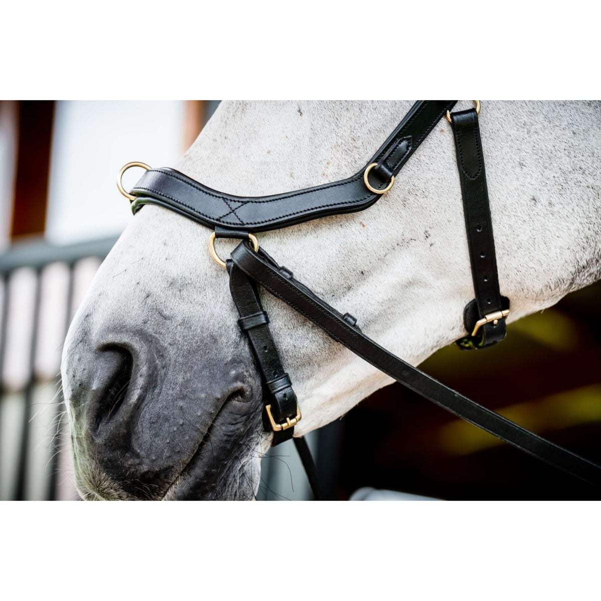 Rambo Micklem Multi Bridle New Negro