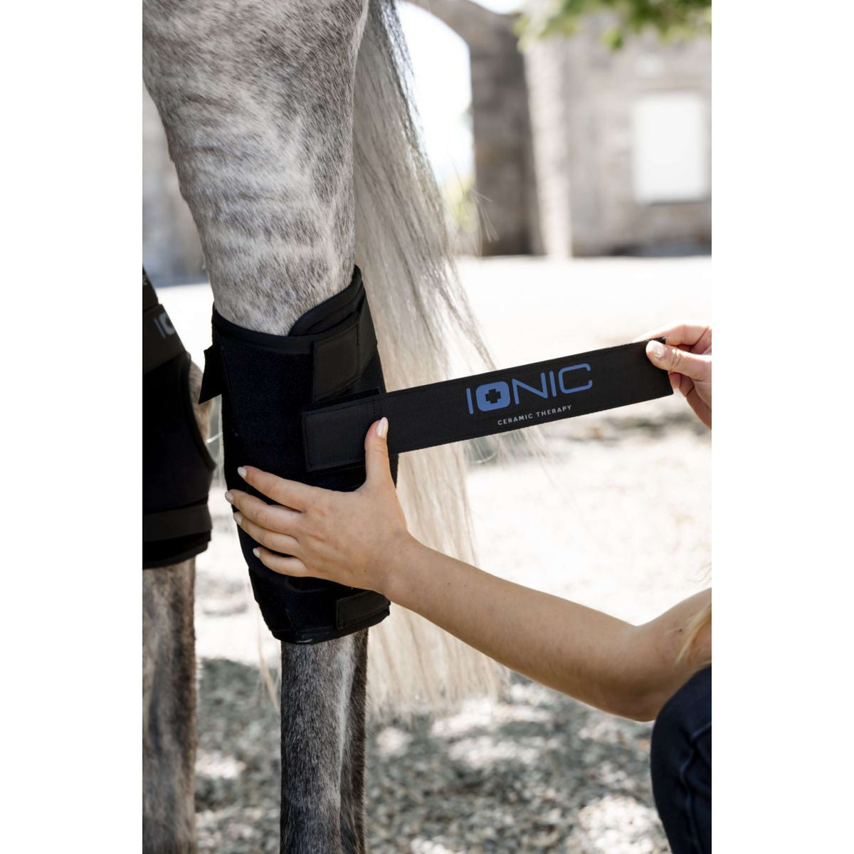 Horseware Hock Boots Ionic Set of 2 Negro