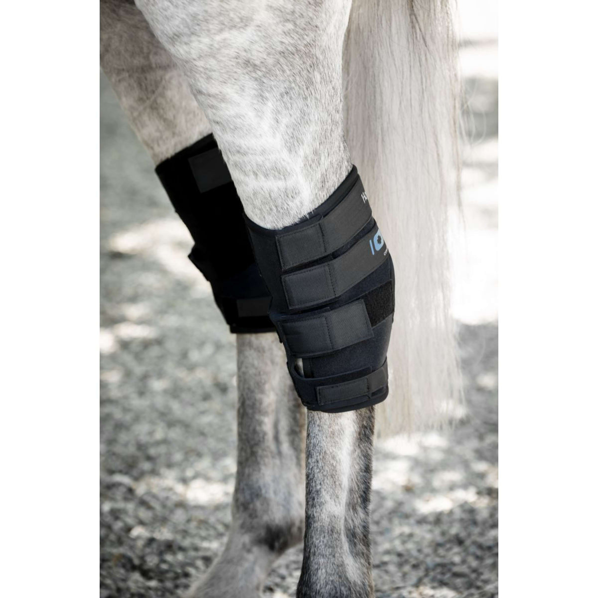 Horseware Hock Boots Ionic Set of 2 Negro