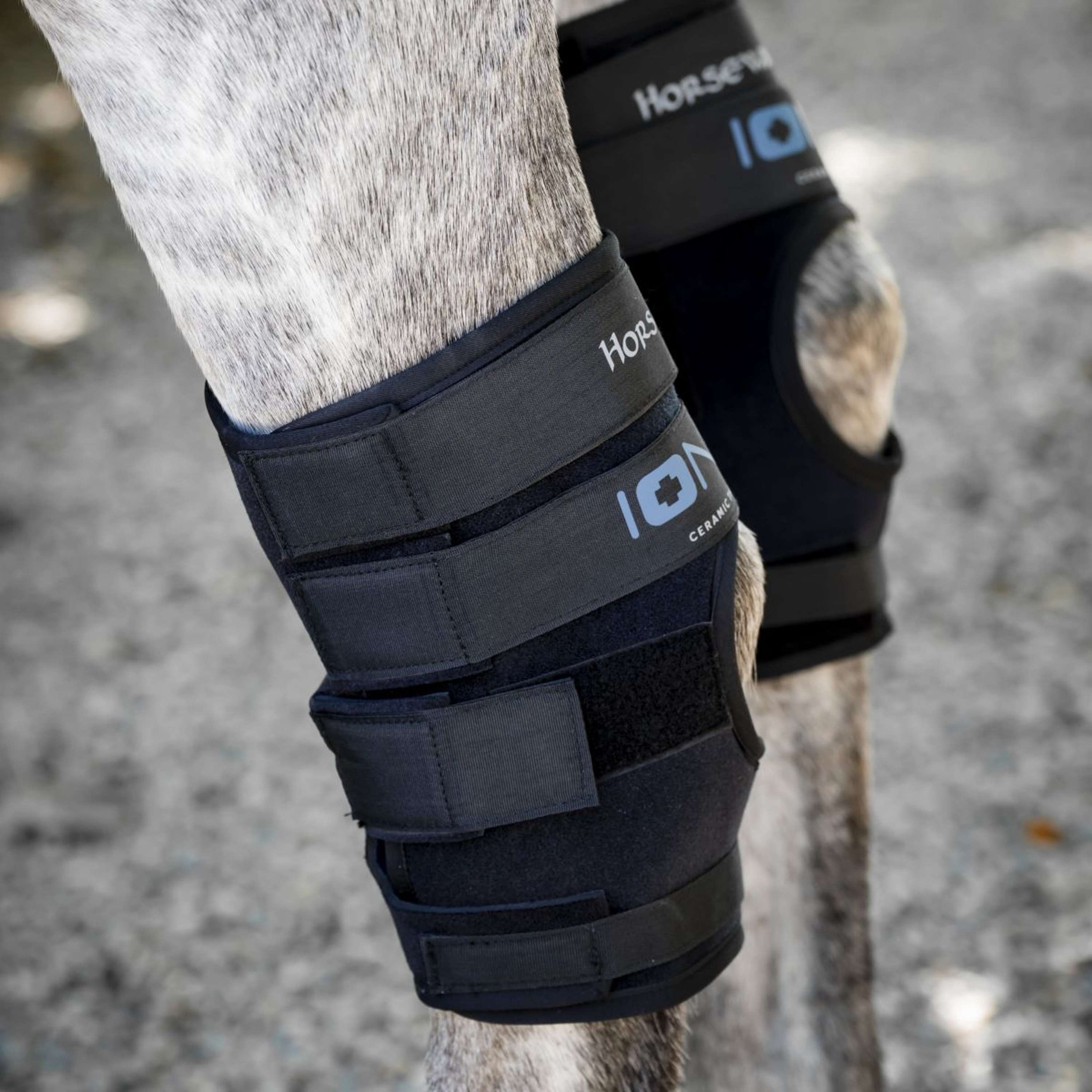 Horseware Hock Boots Ionic Set of 2 Negro