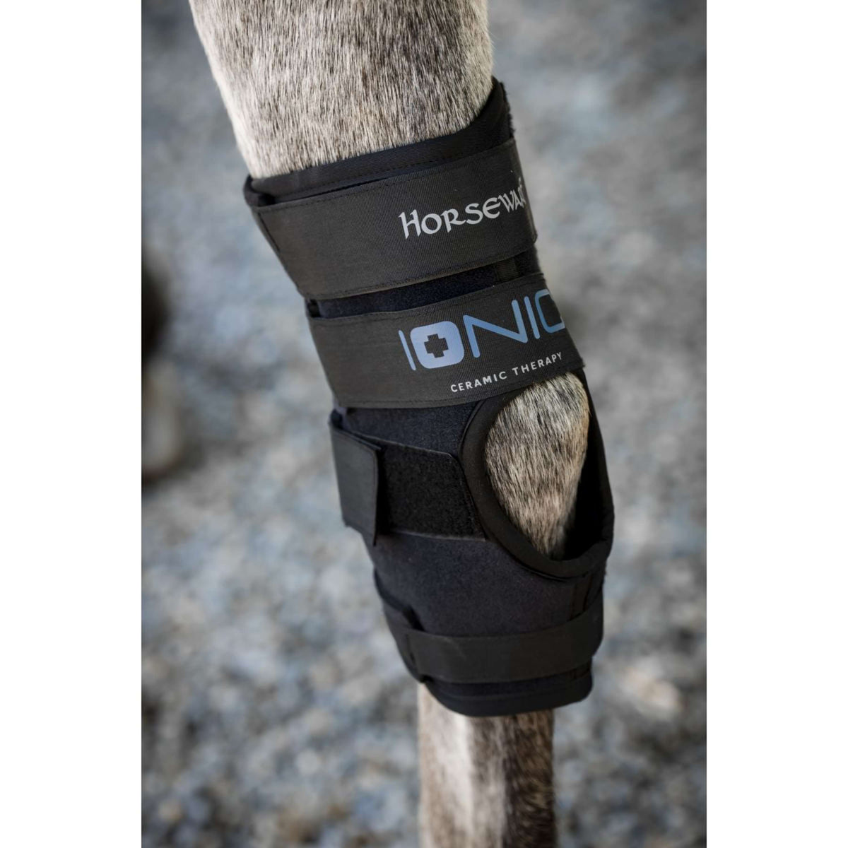 Horseware Hock Boots Ionic Set of 2 Negro