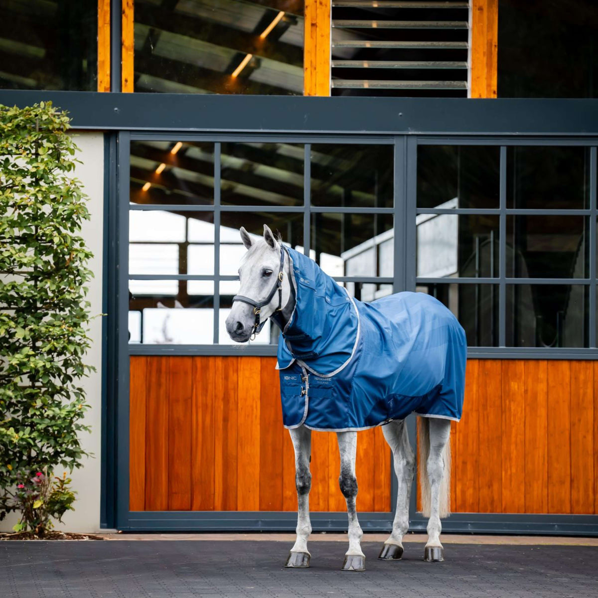 Horseware Cubrecuellos Therapy Mesh Cooler Azul Imperial/Plata/Marino