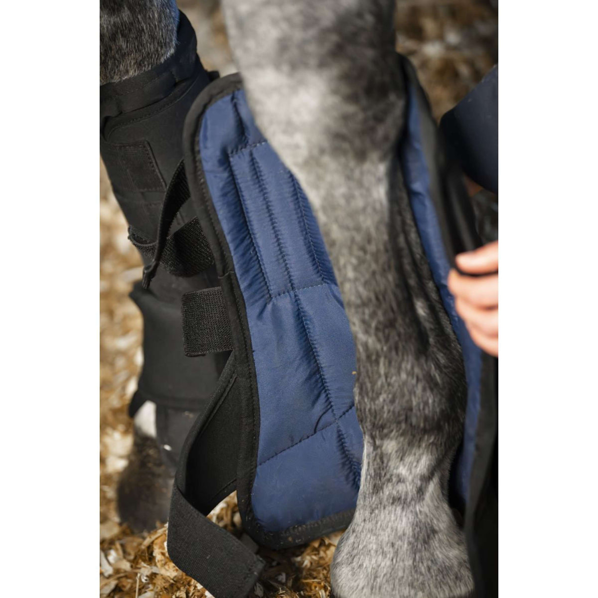 Horseware Liner Stable Boot Ionic Negro