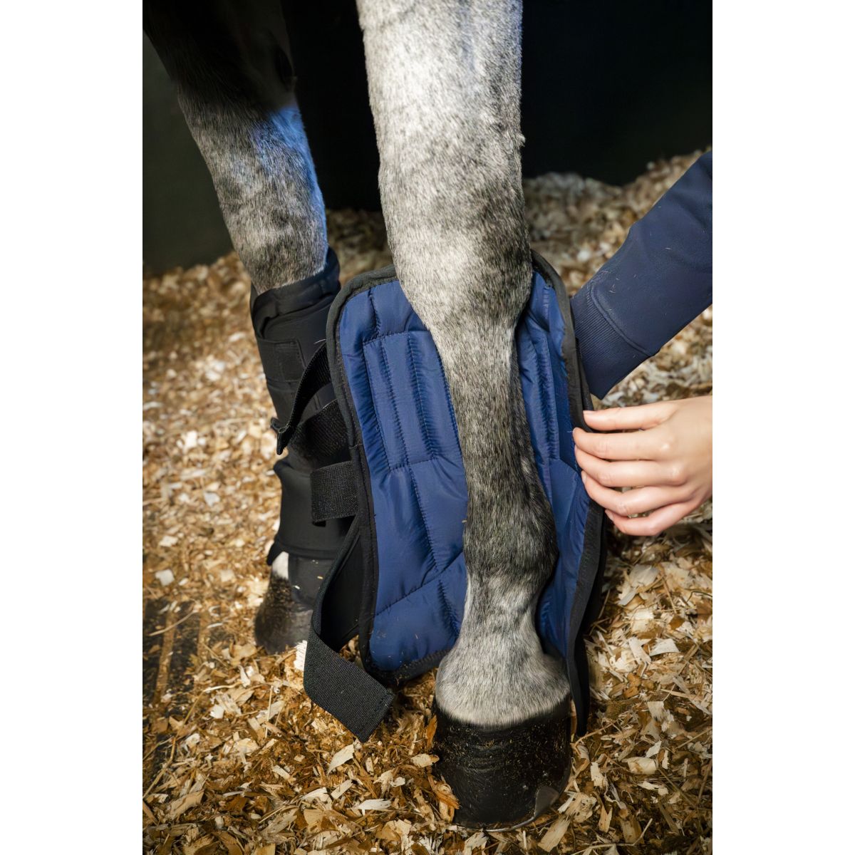 Horseware Liner Stable Boot Ionic Negro