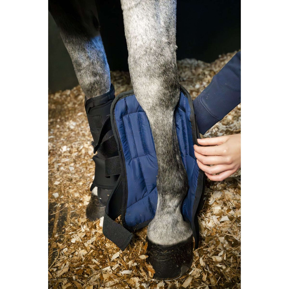 Horseware Liner Stable Boot Ionic Negro