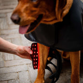 Horseware Pet Leg Wraps LED Red Light Therapy Pair Negro/Negro